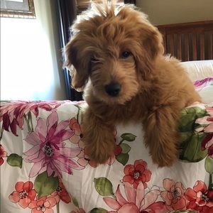 Meet your Posher, Jill